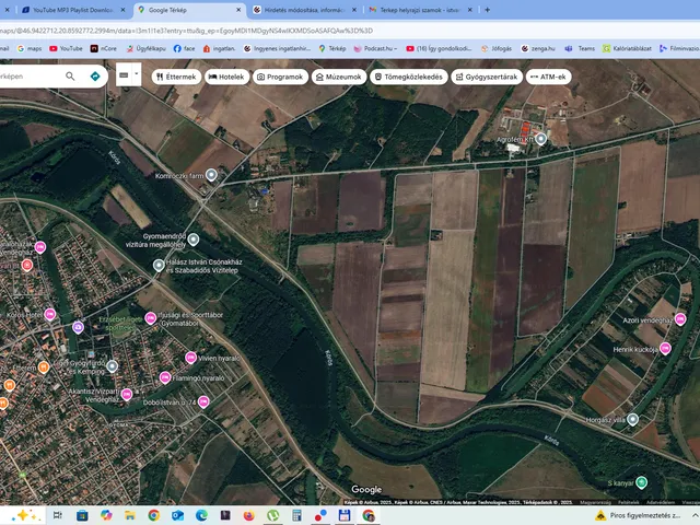 Eladó mezőgazdasági ingatlan Gyomaendrőd 86100 nm