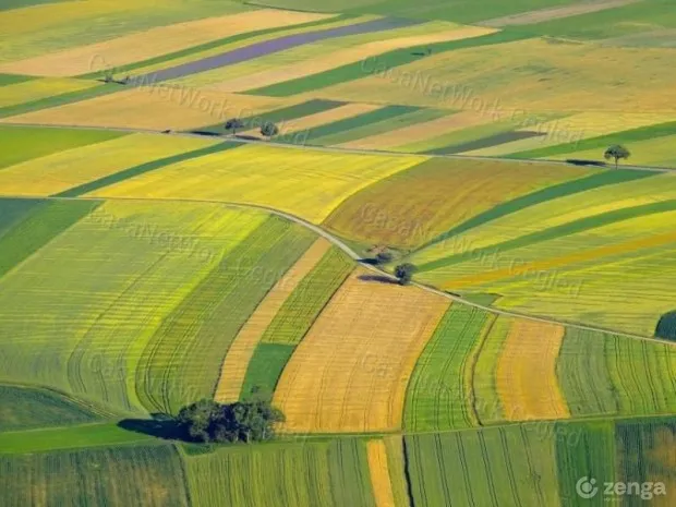 Eladó mezőgazdasági ingatlan Csávoly 55000 nm