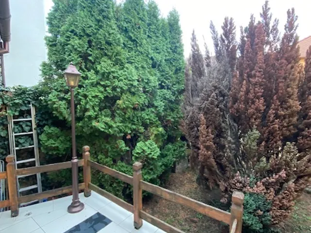 Eladó lakás Pécs, Belváros, Erreth Lajos 130 nm