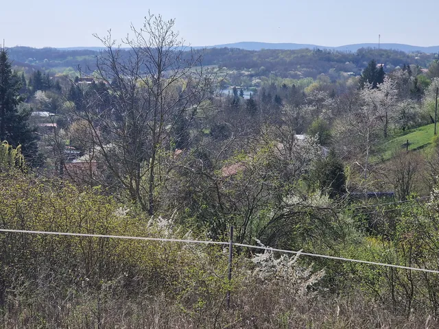 Eladó telek Pogány 1800 nm