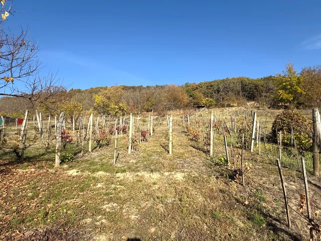 Eladó ház Harkány 50 nm