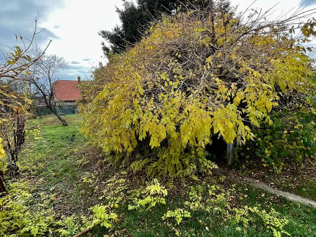 Eladó ház Pécs, Rácváros, Kodó dűlő 35 nm