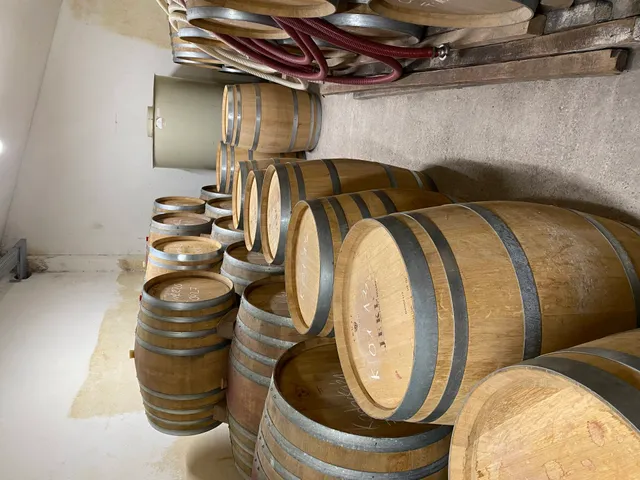 Eladó kereskedelmi és ipari ingatlan Villány 2728 nm