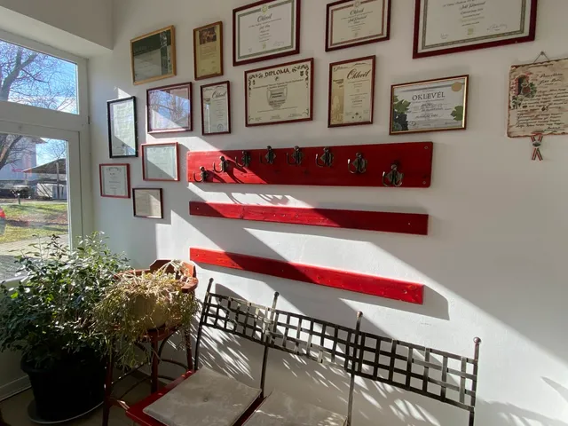 Eladó kereskedelmi és ipari ingatlan Villány 2728 nm