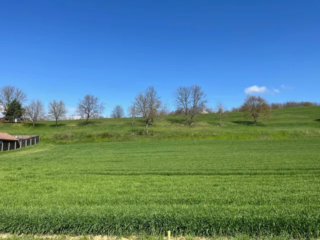 Eladó telek Magyarszék 2462 nm