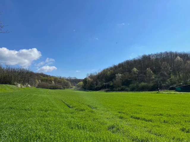 Eladó telek Magyarszék 2462 nm