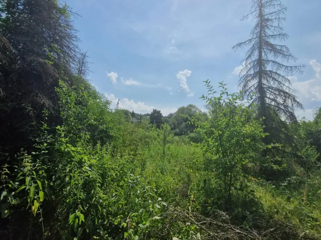 Eladó kereskedelmi és ipari ingatlan Komló 900 nm