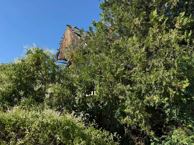 Eladó telek Pécs 3419 nm