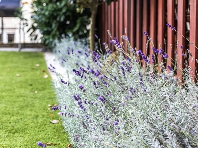 Eladó lakás Pécs 70 nm