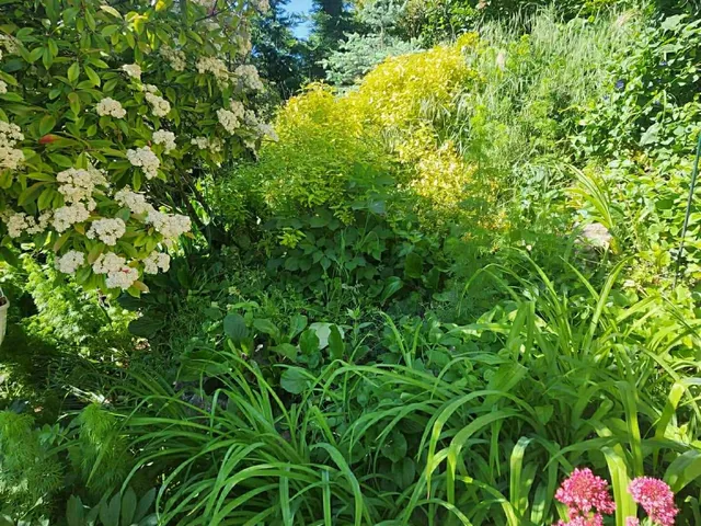 Eladó ház Pécs 300 nm