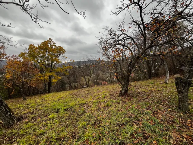 Eladó telek Pécs 2300 nm