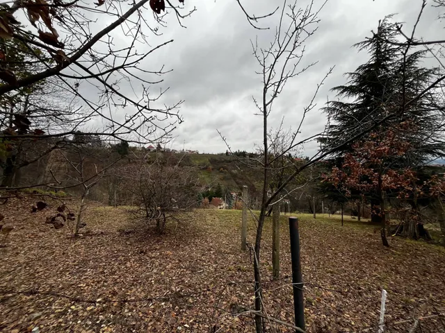 Eladó telek Pécs 2300 nm