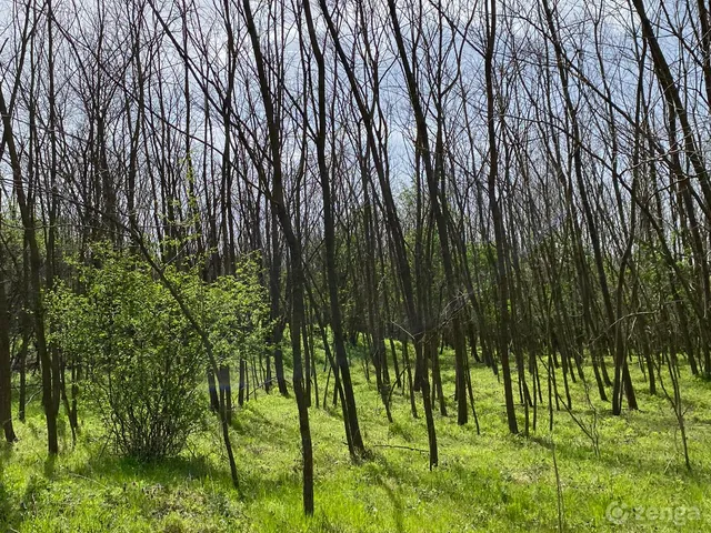 Eladó mezőgazdasági ingatlan Baja 300000 nm