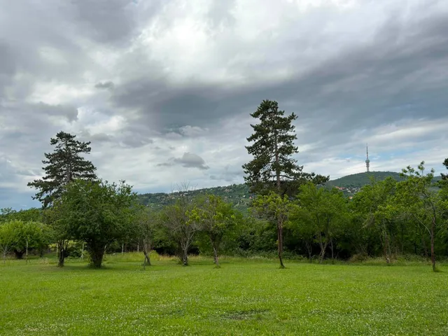 Eladó ház Pécs, Bánom, Csárda utca 37. 140 nm