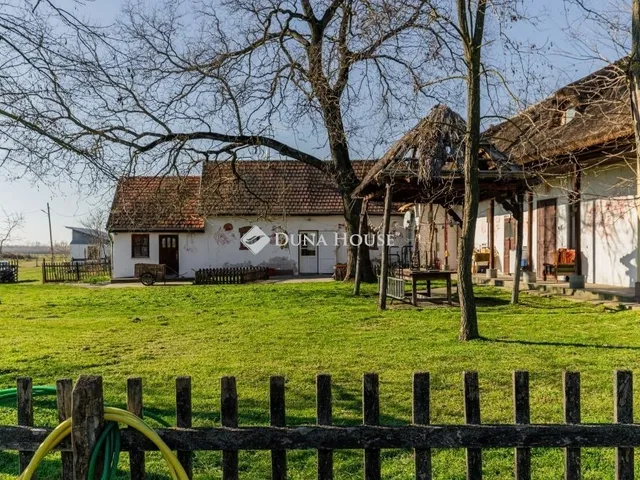 Eladó mezőgazdasági ingatlan Délegyháza 185 nm