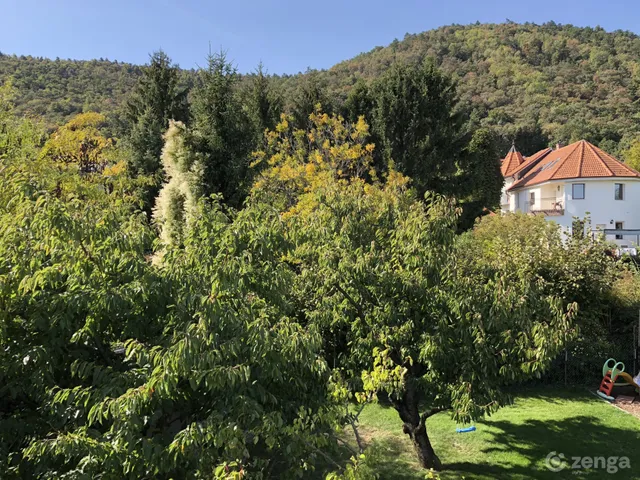 Eladó ház Budapest III. kerület, Táborhegy, Erdőalja út 200 nm