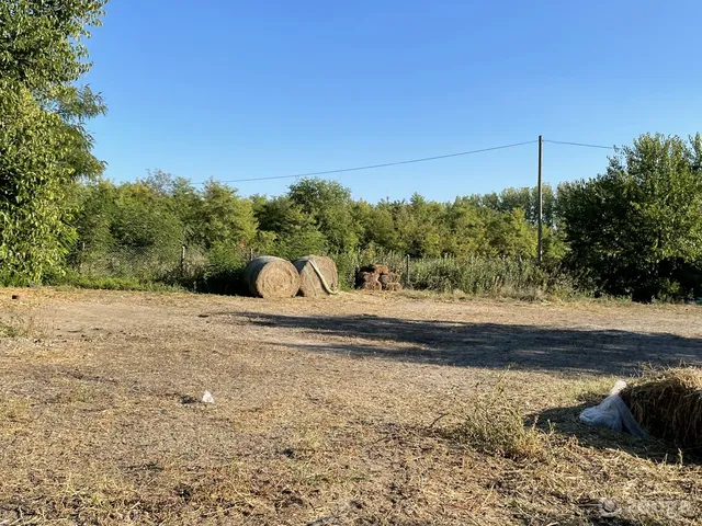 Eladó mezőgazdasági ingatlan Nagykőrös 4300 nm