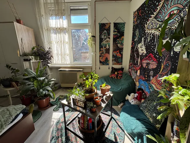 Eladó lakás Budapest VII. kerület, Ligetváros, István utca 74 nm