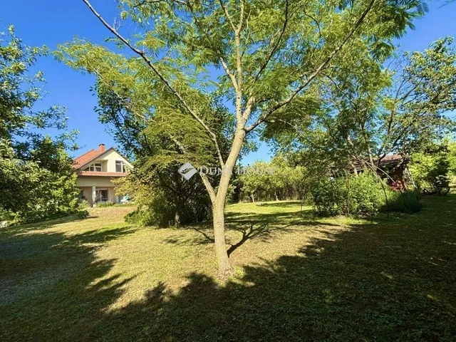 Eladó ház Szada 308 nm