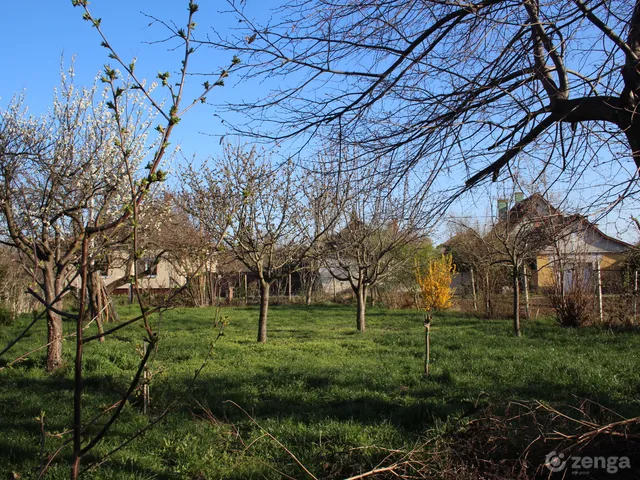 Eladó telek Szeged, Szőreg, Levendula u. 7 627 nm