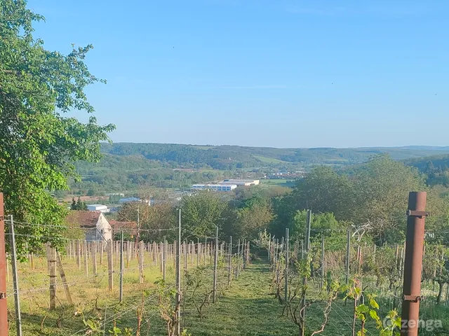 Eladó mezőgazdasági ingatlan Zalaegerszeg, Zalabesenyő 12 nm