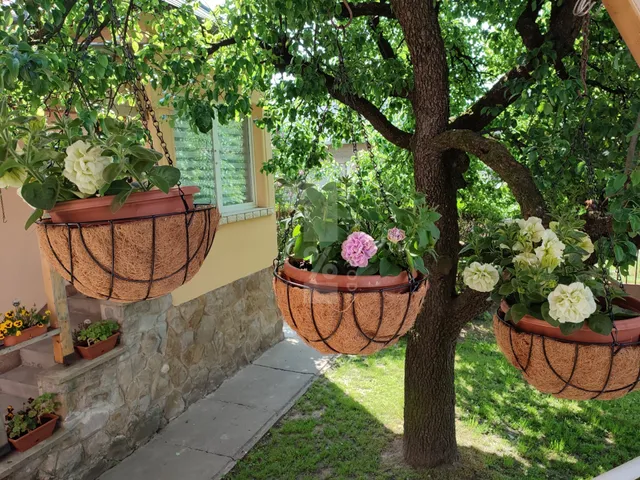 Eladó ház Pécs 118 nm
