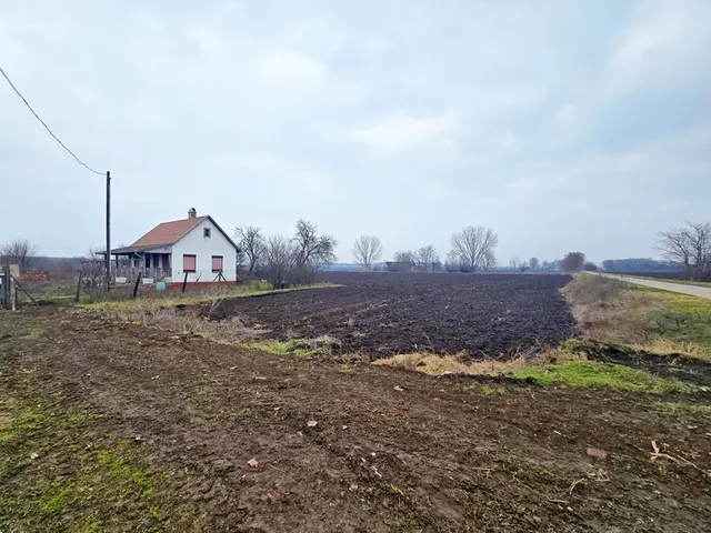 Kiadó mezőgazdasági ingatlan Debrecen, Nyugati Ipari Park 50 nm