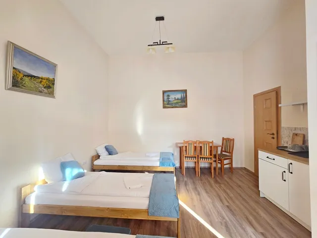 Kiadó lakás Debrecen, Belváros 300 nm