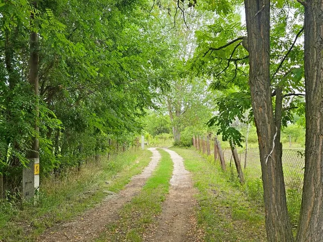 Eladó telek Hosszúpályi 3450 nm
