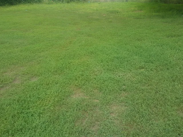 Eladó telek Debrecen, Akadémiakert 720 nm