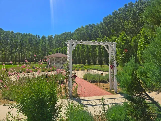 Kiadó kereskedelmi és ipari ingatlan Nyíradony, Aradványpuszta 400 nm