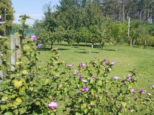 Eladó telek Debrecen, Vargakert 1040 nm