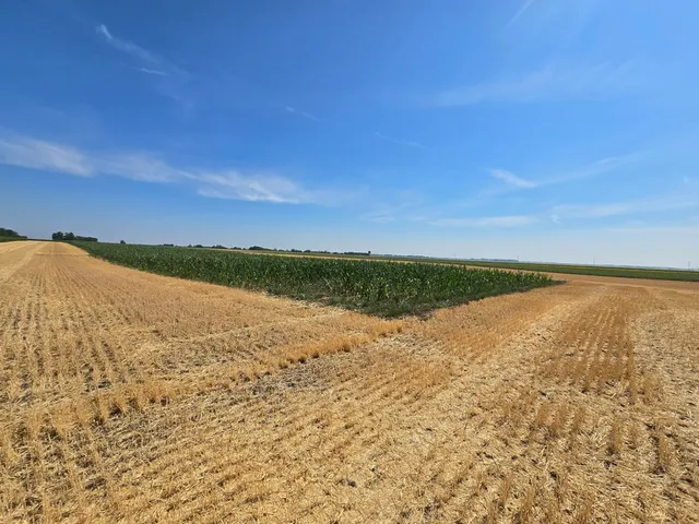 Eladó mezőgazdasági ingatlan Ebes 42254 nm