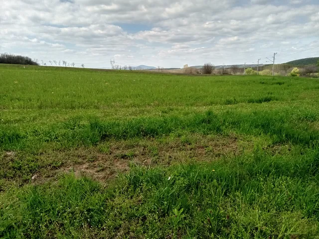 Eladó telek Őrbottyán, Vácbottyán 1950 nm