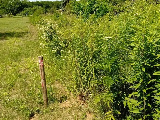 Eladó telek Őrbottyán, Vácbottyán 770 nm