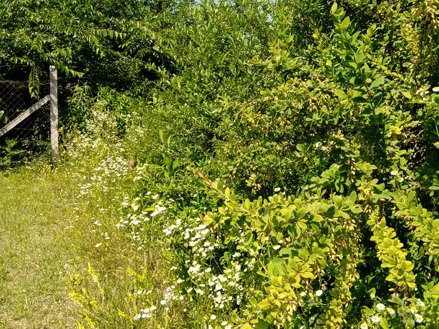 Eladó telek Őrbottyán, Vácbottyán 770 nm