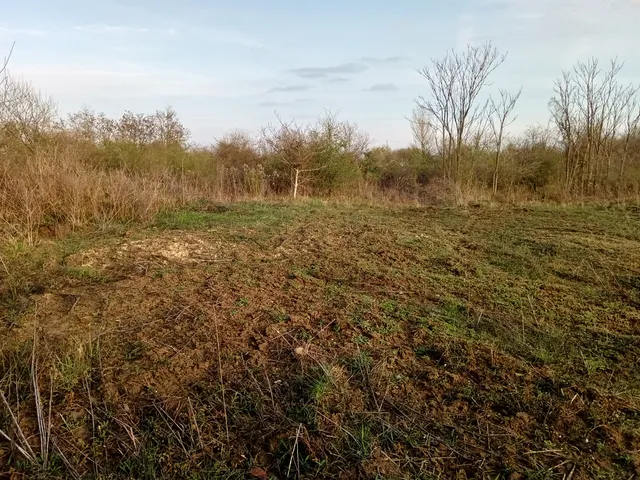 Eladó telek Csomád, Táncsics Mihály 2870 nm