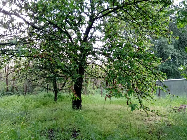 Eladó telek Őrbottyán, Vácbottyán 720 nm