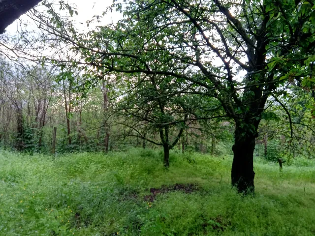 Eladó telek Őrbottyán, Vácbottyán 720 nm