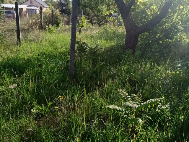 Eladó telek Őrbottyán, Vácbottyán 760 nm