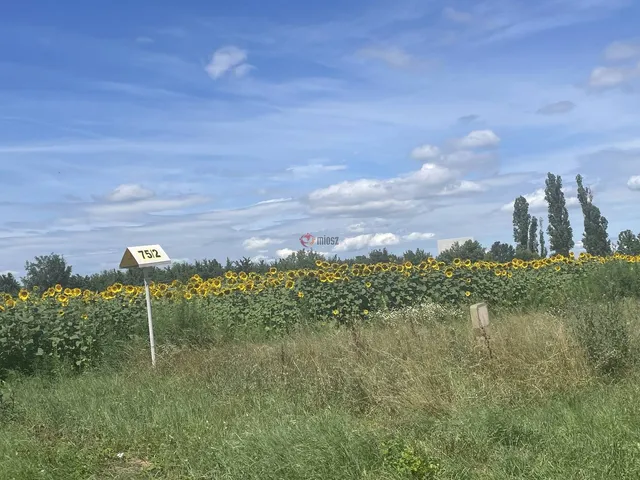 Eladó mezőgazdasági ingatlan Székesfehérvár 1 nm