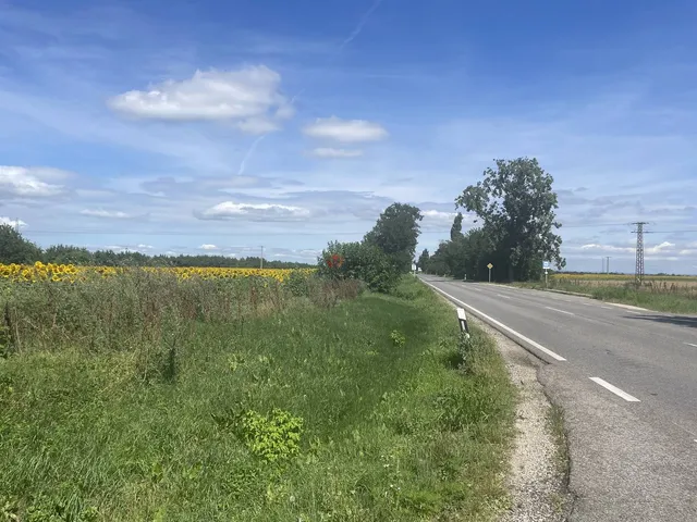 Eladó mezőgazdasági ingatlan Székesfehérvár 1 nm