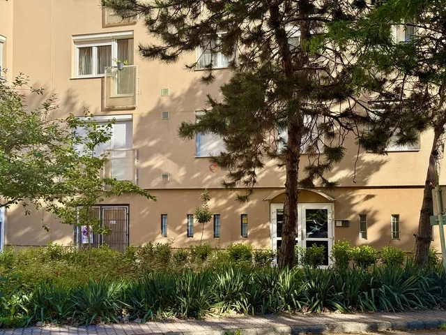 Eladó lakás Székesfehérvár, Palotaváros 49 nm