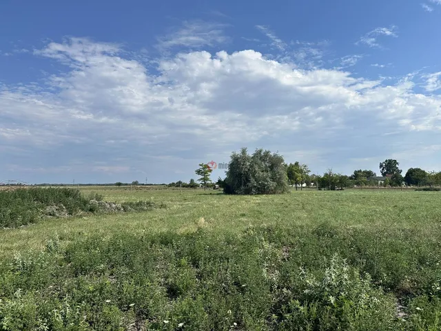 Eladó telek Iszkaszentgyörgy 1000 nm