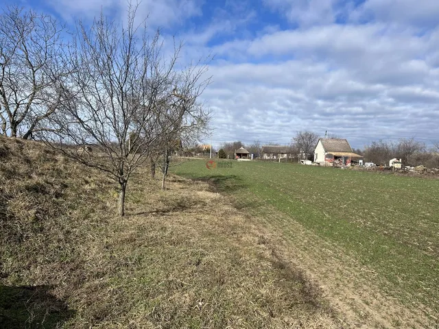 Eladó mezőgazdasági ingatlan Polgárdi, Zártkert  4452 nm