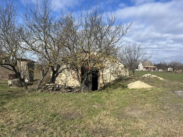 Eladó mezőgazdasági ingatlan Polgárdi, Zártkert  4452 nm