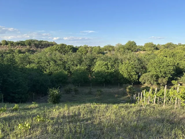 Eladó telek Lovasberény, Tabán utca 6500 nm