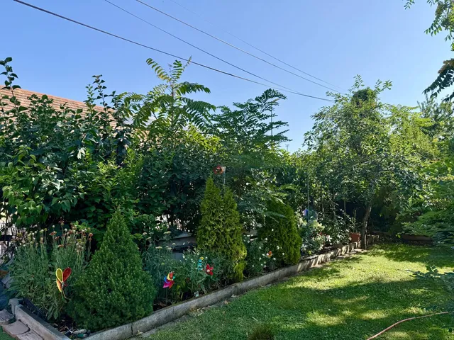 Eladó lakás Székesfehérvár, Alsóváros 96 nm