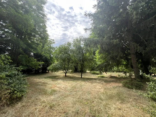 Eladó telek Domony 3873 nm
