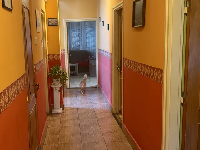 Eladó ház Gödöllő, Blaha 268 nm